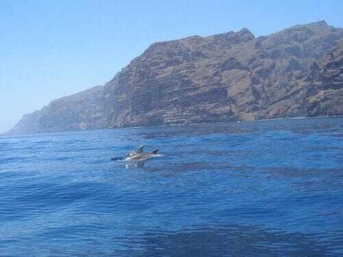 El Paraíso en Los Gigantes Santiago del Teide Exterior foto