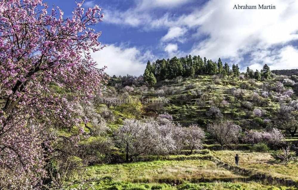 El Paraíso en Los Gigantes Santiago del Teide Exterior foto